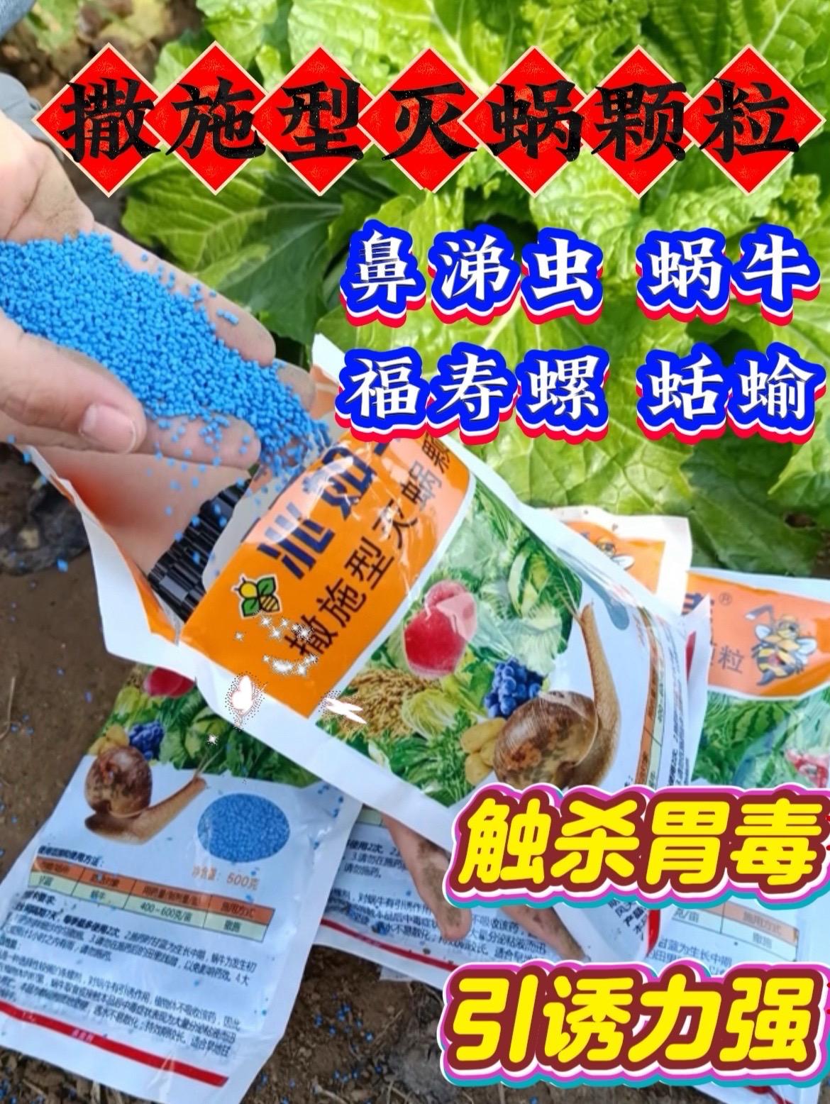 菜地里蜗牛横行,啃食菜叶,眼看辛苦种植的蔬菜遭殃,怎能不心急?别慌,兆如丰撒施型灭蜗颗粒来搞定!它是专为防治蜗牛设计,作物的贴心卫士。只需在生长中期,蜗牛活跃期,将400-600克/亩的药剂拌土撒施。安全间隔期7天,每季最多用2次,使用简单,操作方便,就能让蜗牛不再嚣张。#蜗牛颗粒剂#蜗牛防治#软体动物的克星#强烈推荐 #厂家直发品质保证