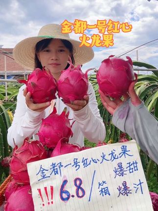 #优质农场品 #金都一号红心火龙果 #现菜现摘 #纯甜无酸