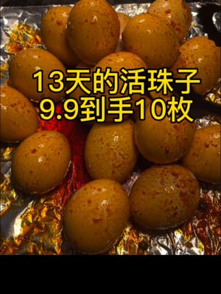 活珠子的做法丰富,煎炸烹煮都好吃,口感鲜嫩,吃了还想吃#活珠子 #毛蛋 #美食 #活珠子毛蛋