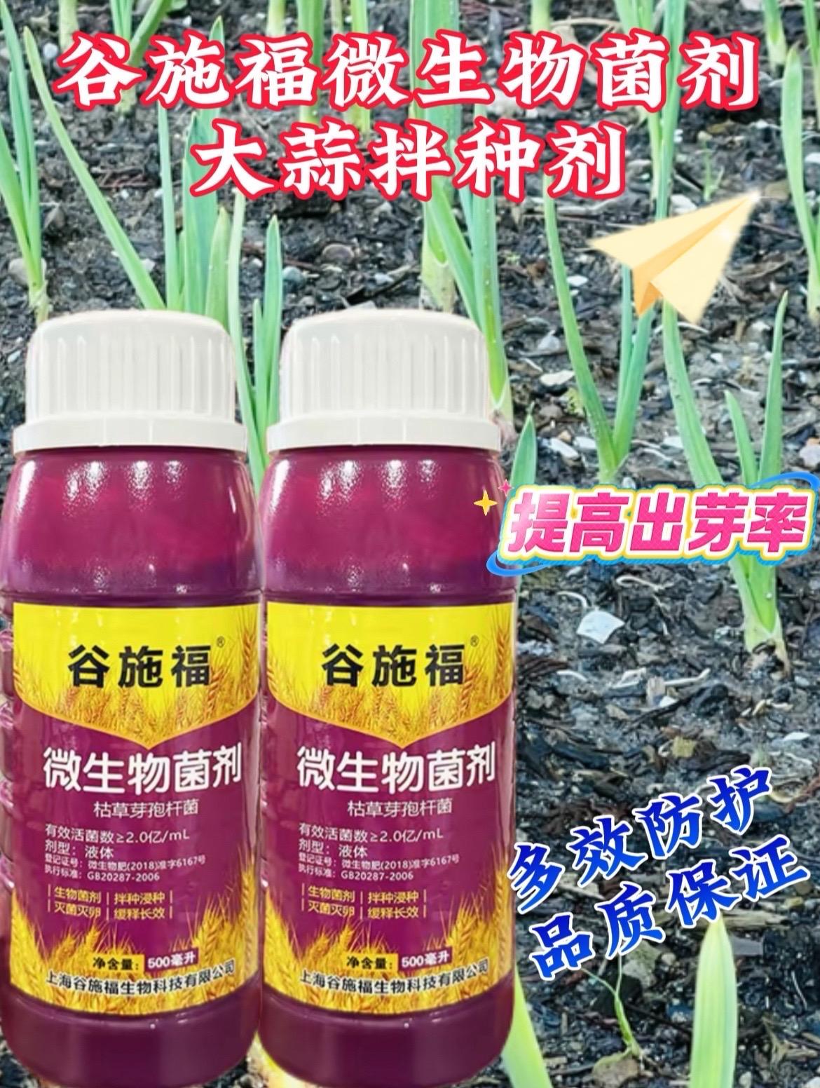 大蒜拌种剂是用于大蒜播种前处理种子的专用药剂,核心作用是预防种传播病害、驱避地下害虫,同时部分产品可补充营养,提升大蒜出苗率和幼苗长势。#大蒜拌种剂 #大蒜拌种一季无忧#农业种植 #大蒜拌种防死苗烂根#厂家直发品质保证