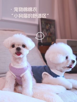 亲肤舒适,会呼吸的宠物打底衣#hoooootdog #宠物衣服 #宠物秋冬衣服 #宠物保暖