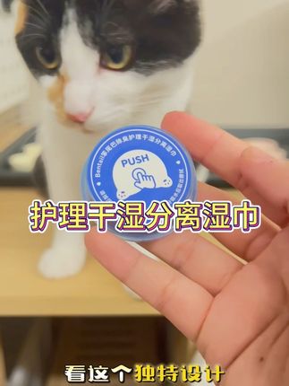 #bentail笨尾巴 #宠物湿巾 #养宠进阶指南