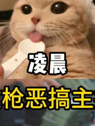 改枪恶搞主播凌晨,第14期:给他改了一把抖上天拼好弹组合的AKm,恶搞成功啦!#萤火突击 #萤火突击ss6战术新生 #萤火突击攻略 #萤火突击欢乐剧场#萤火突击出金联盟
