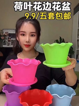 荷叶花边花盆,平时用它栽个小花,颜值高又好看 #花盆 #好物分享 #实用好物 #平价好物