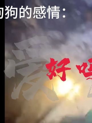 我会牵着你手共进退 护农路上永无悔#热门#热度#热点#西北玖珑#汪汪队