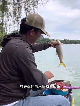 #户外钓鱼 #钓黄尾 #黄尾饵料 #爆护就是这么简单 #这饵料好使