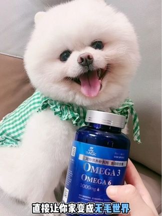 家里的狗毛满天飞,一瓶鱼油帮你解决掉毛的烦恼#宠物用品 #萌宠好物 #宠物鱼油 #养宠经验