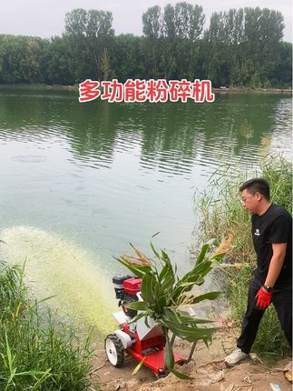 #一机多用省时省力省人工 #鱼塘 #水产养殖 #牛羊养殖 #树枝粉碎机
