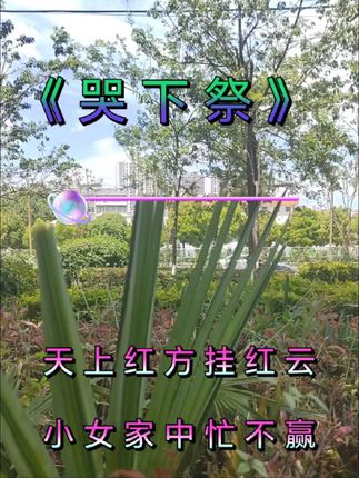 #哭书#地方风俗#非遗文化传承