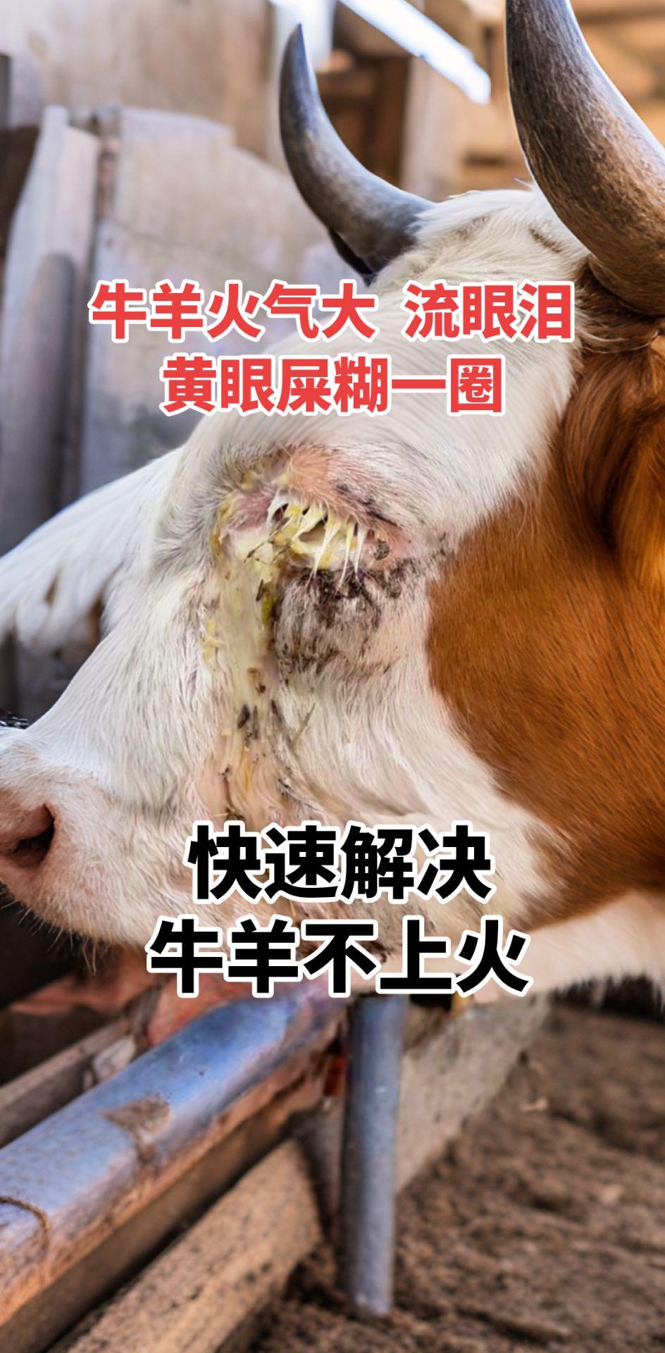 #AI扩图 #牛羊养殖 #养牛人 #农村养牛 #自繁自养