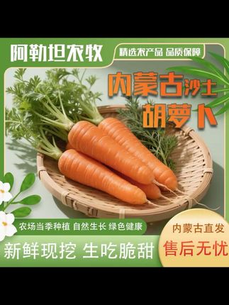 【暴雨助农】内蒙古新鲜现挖沙地胡萝卜生吃脆甜可作蔬菜辅食代餐#胡萝卜 #胡萝卜汁 #萝卜 #沙地胡萝卜