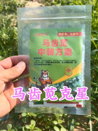 #马齿苋克星#专除马齿苋等抗性杂草#前打后死正打反死#效果显著比铲的都干净#直接喷一次性解决