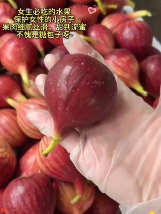 女生必囤的宝藏水果!当季新鲜采摘无花果,真的甜到爆炸!果肉丝滑软糯,颗颗流蜜就像蜂蜜一样!不愧是糖包子~女生朋友还有孕妈妈都超适合吃的水果!#无花果#适合女生吃的水果#现摘现发新鲜到家#口感特别好#吃无花果的好处