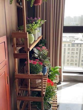 生活最美的状态就是:人静,物简,心安 #实木花架 #花与生活 #客厅花架 #每天给生活多一点色彩