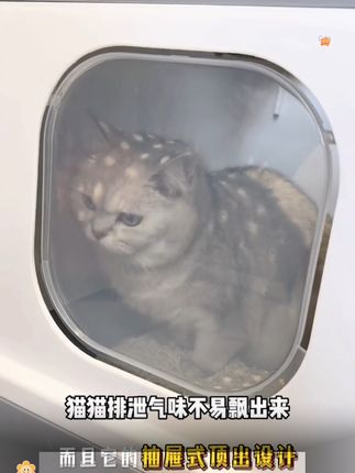 猫砂盆半封闭式抽屉顶出式特大号超大厕所防臭猫屎盆小号猫咪拉屎#猫砂盆 #半封闭式猫砂盆 #萌宠好物 #猫砂盆推荐