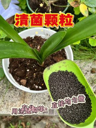 家里种花种菜总养不活?试试撒清菌颗粒的土!这颗粒能除土壤里有 害病菌虫卵,还能调节土壤环境,让植物远离病虫害。用法超简单,直接均匀撒在盆土表面就行,植物就能健健康康成长啦。家里花草蔬菜总养死的小伙伴,赶紧左下角下单!