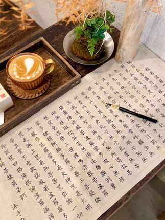 静心抄写,慢慢来比较快  #抄经静心 #抄经祈福 #静心 #静心养性 #写字是一种生活