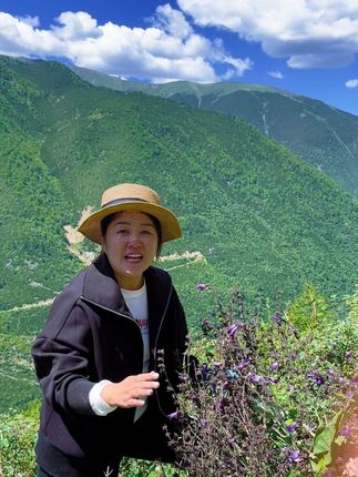 都说山间无杂草,认识全是宝,今天在山上挖到了紫丹参,真是太幸运了!#记录真实生活 #大自然的美好 #我的乡村生活