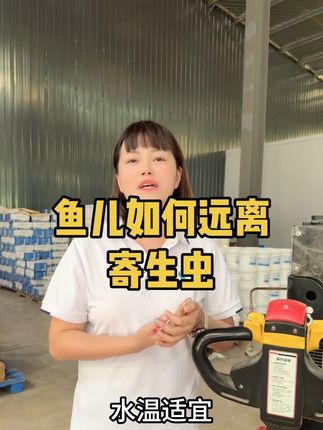 #四大家鱼养殖 #猫头骚#中华骚#南美白对虾 一瓶3亩兑水泼,鱼儿远离寄生虫