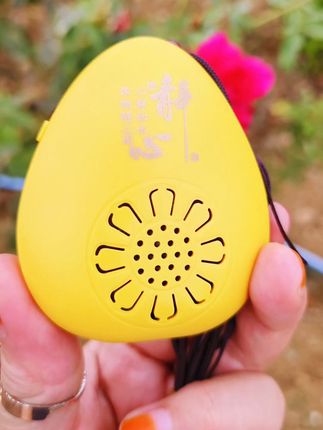 #每日分享 #好物推荐分享 #禅乐机#自用好物分享