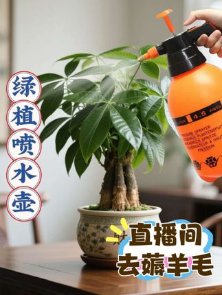 选对喷水壶,养花种菜更轻松,新手也能上手 养花种菜的朋友,特别是刚入门的新手,是不是总觉得浇水施肥没头绪?其实选对工具很关键!今天这款手动气压式喷壶,真是帮了大忙。   它的喷嘴能调雾状和柱状,给室内盆景喷水不冲倒枝叶,给多肉植物补水不会烂根,太适合新手练习花草养护了。壶身加厚耐用,按几下就能持续喷水,给菜园浇水、给花卉打营养液都省力。   最贴心的是能伸到植物内部定向喷,施肥时用盆栽通用肥料、花卉营养液,搭配带刻度的壶身,用量好掌握,符合科学的花草养护教程。不管是用种菜营养土的蔬菜,还是娇贵的花卉,都能照顾到。   现在特价还包邮,点击左下角小黄车就能入手。   #室内盆景养殖技巧 #盆栽植物通用肥料推荐 #花草养护教程 #多肉植物种植技巧大全 #新手怎么养花