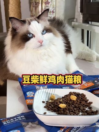 一人只能买两单! 豆柴真鲜肉原动力猫粮试吃装,6块9买3包,大羊毛赶紧薅!#萌宠好物 #豆柴肠胃原动力 #猫粮