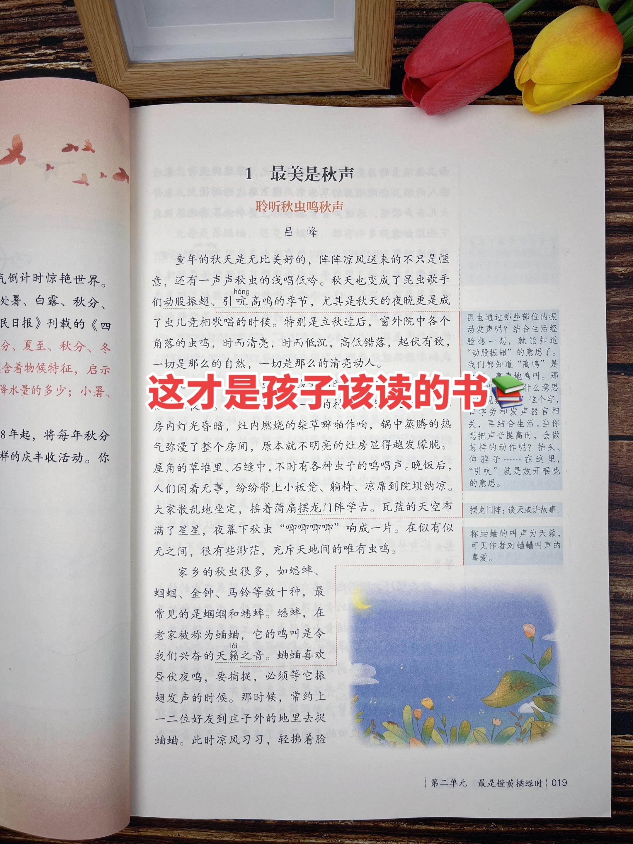 《人民日报》伴你阅读,文章篇篇经典🔥 紧扣新课标,是课本的延伸与拓展,实用性强,阅读是写作的基础,每天坚持15分钟,拓展视野,积累写作素材,提升大语文综合素养#课外阅读 #写作素材 #阅读是一种习惯 #阅读理解 #好书分享