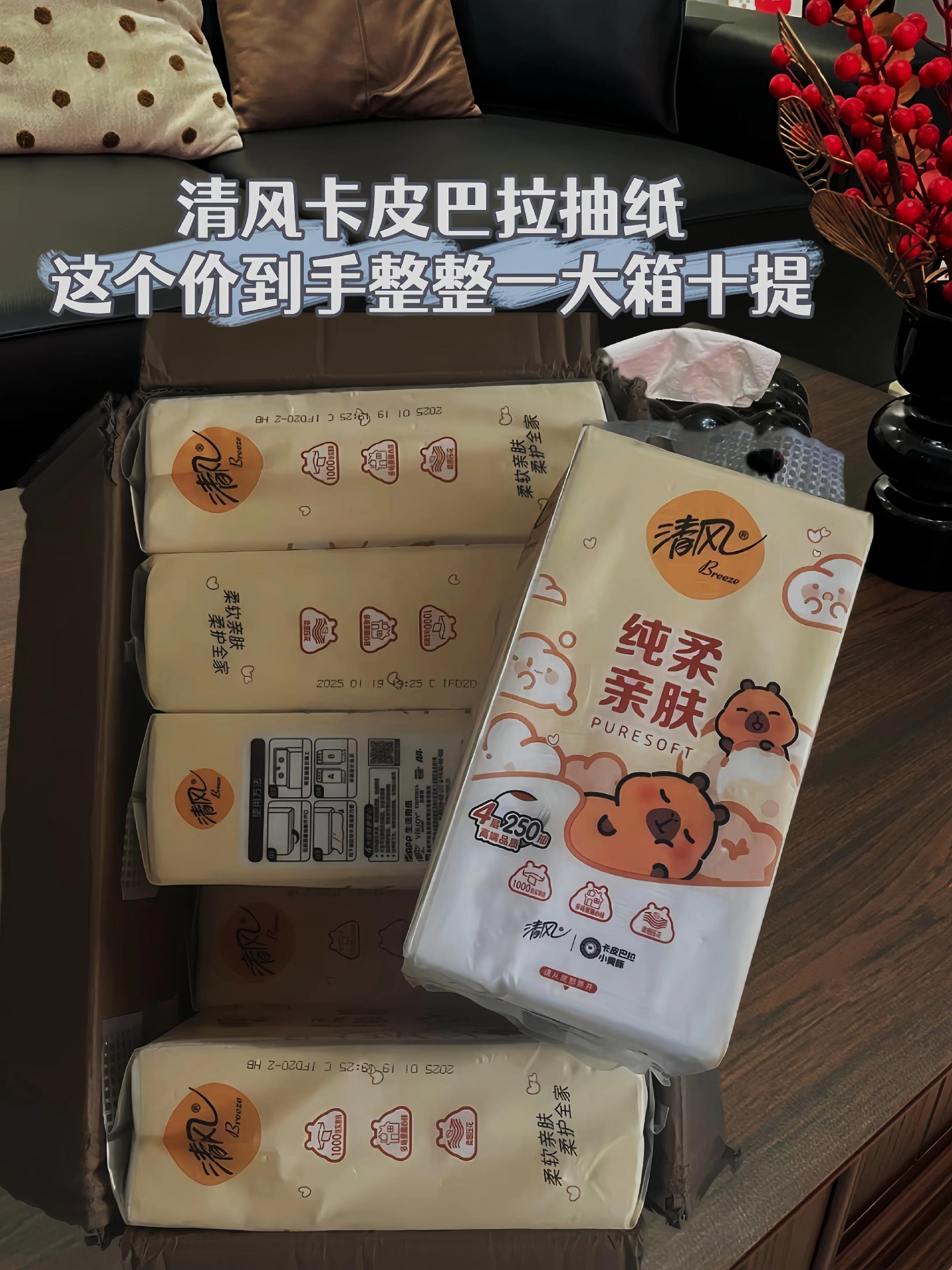 抢疯了抢疯了清风挂抽10提卡皮巴拉悬挂式抽纸4层加厚250抽/提 #悬挂式抽纸推荐#抽纸#卡皮巴拉联名
