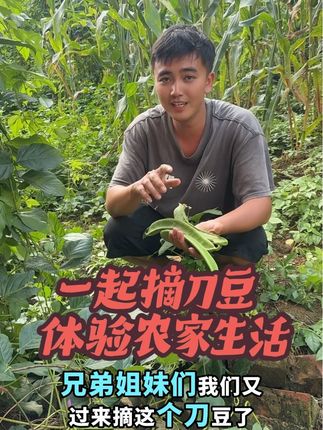 全网没有这种小时候的原汁原味的酸刀豆  你信吗!#三农 #返乡创业新农人 #刀豆 #原汁原味 #口感非常好