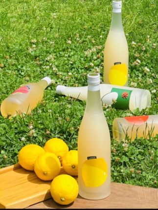 fenmo粉墨官方正版微醺出游推荐水果酒橘子酒柠檬桃子酒女生720ml