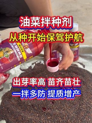 油菜拌种剂,从种开始给油菜保驾护航,提高出芽率,苗齐苗壮 一拌多防,提质增产#油菜拌种剂 #油菜拌种 #油菜高产 #油菜种植 #三农