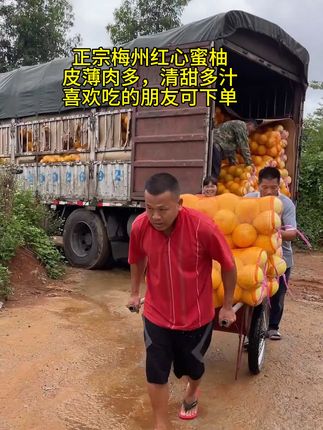 #红心蜜柚 又到了吃柚子的时候了,这个梅州的红心蜜柚,清甜多汁,非常好吃,純纯的甜,没有一丝酸味#柚子 #红心柚 #全文茂 #迈合村