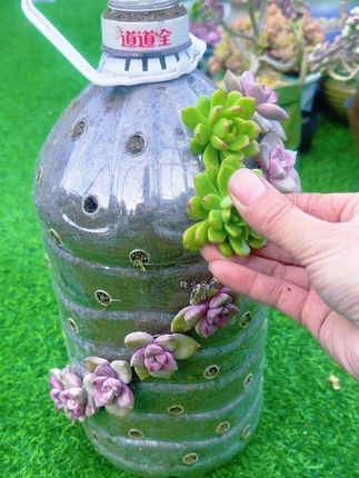 用完的油壶瓶子不要扔,教你一招变废为宝,再也不用买花盆#变废为宝 #不要的瓶子还能这样 #电烙铁的妙用