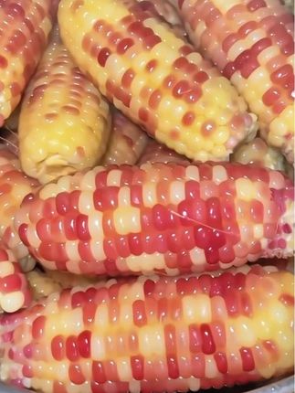 #太好吃了 云南小花糯玉米🌽真空锁鲜,软糯香甜,一口咬下,满嘴留香 大人小孩都爱不释口 #花糯玉米 #嘎嘎好吃 #强烈推荐 #软糯香甜
