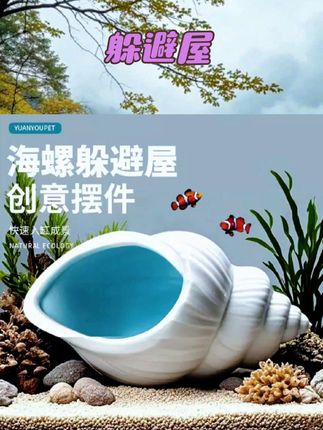 鱼缸陶瓷鱼虾躲避屋陶罐窝迷你鹦鹉繁殖屋躲避洞摆件造景装饰孔洞 #水族用品 #好物分享 #钓鱼用品#鱼缸摆件#躲避屋