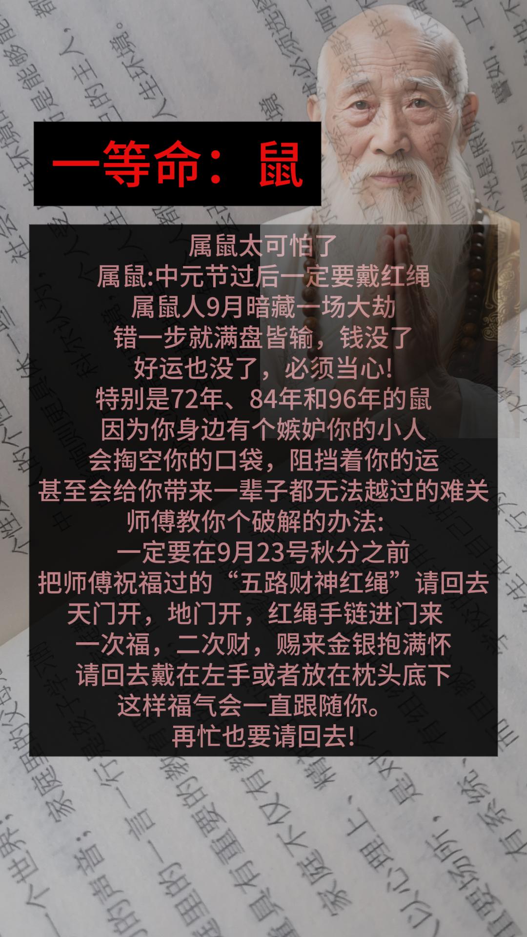 #生肖鼠 #属鼠 #鼠