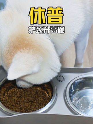 不同体型狗狗吃饭时候用不同高度的碗,可以很明显的有助于狗子进食和消化,还能保护脖颈#好物推荐🔥 #护颈 #休普 #科学养宠攻略 #新手养狗