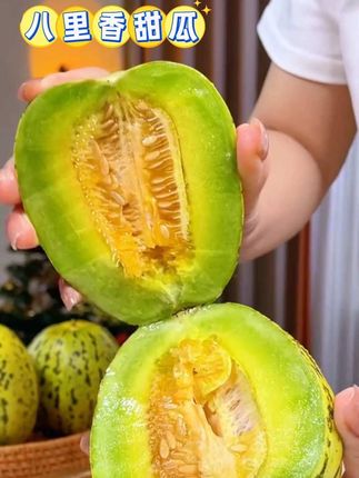 错过就要等一年!每年都要给家里人买的八里香甜瓜!连皮带瓤一起吃巨好吃!皮薄脆甜多汁,香甜爽口!#八里香甜瓜 #新鲜应季水果 #口感特别好 #甜瓜 #脆甜多汁
