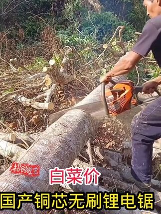 #锂电锯 #伐木锯树神器 #锂电锯推荐 #户外锯树神器