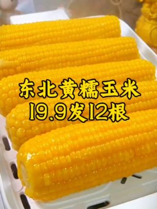 19.9到手12根,而且还都是大棒🌽 #东北黄糯玉米 又大又甜又香糯 ~#糯玉米的营养价值 #软糯香甜 大人小孩都爱吃,太香了#哇又便宜又好吃 #粗粮