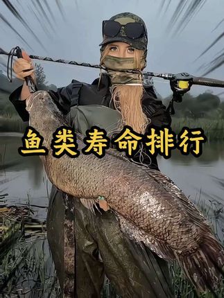 鱼类寿命排行榜#路亚#钓鱼#户外#野钓 #国庆节钓鱼