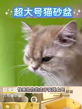 超大号猫砂盆防外溅半封闭开放式猫厕所巨特大猫沙盆猫咪用品加厚#强烈推荐 #萌宠推荐官 #宠物用品 #萌宠出道计划 #动物科普