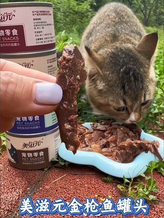 美滋元金枪鱼红肉大罐,满满的都是肉,满足猫咪食肉天性,太解馋了#金枪鱼罐头 #猫罐头##猫零食#吃货猫
