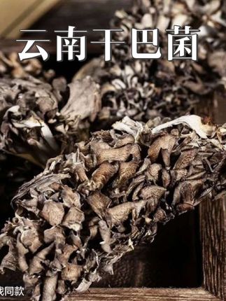 二胖推荐的这个云南干巴菌味道也太好了吧 #云南美食 #干巴菌中的劳斯莱斯 #好吃到停不下来 #干巴菌的做法