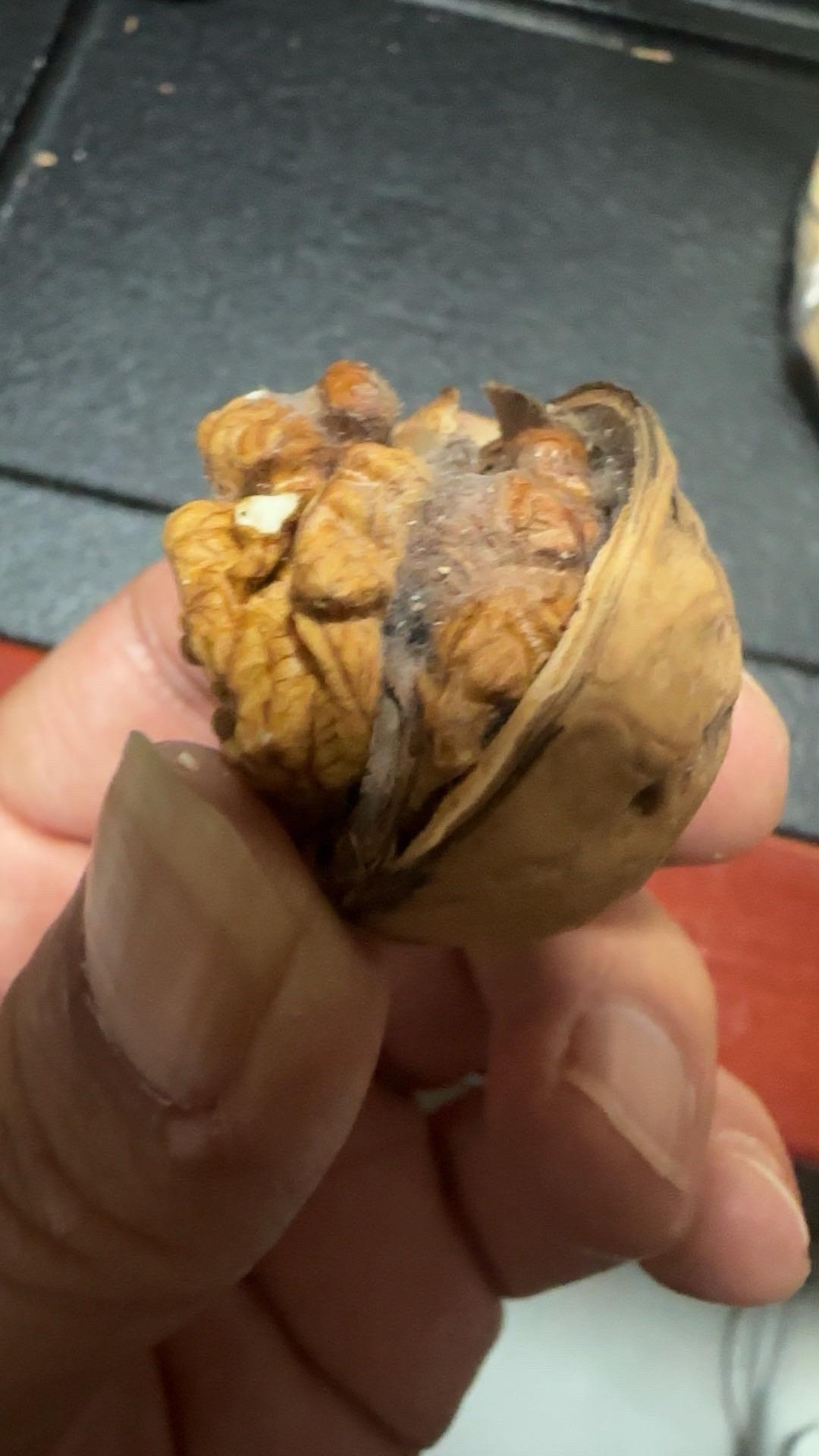 垃圾产品 都长毛了 谁敢吃 看着都恶心#我在抖音买买买
