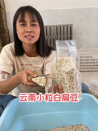 云南楚雄红河流域产的老品种小粒白扁豆#白扁豆