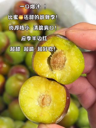 谁懂啊?!比蜜🍯还甜的半边红脱骨李!一口沦陷!个大饱满、清脆爽口、脱骨离核、让人越吃越上头😋简直是蜂糖李平替!!#李子 #脆甜多汁 #应季水果 #脆李子 #大暑消夏开吃啦