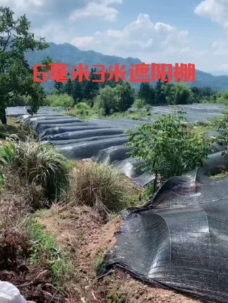 6毫米3米遮阳棚效果图#玻璃纤维杆厂家直销#玻璃纤维杆拱棚支架