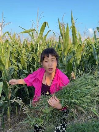 农村搞笑视频#玉米地里走一走 #玉米地搞笑#原创搞笑