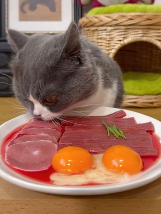 电子榨菜已上线 #万物可爱计划 #猫咪沉浸式吃饭 #吃货猫 #猫咪 #宠物吃播